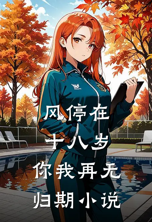 风停在十八岁，你我再无归期小说