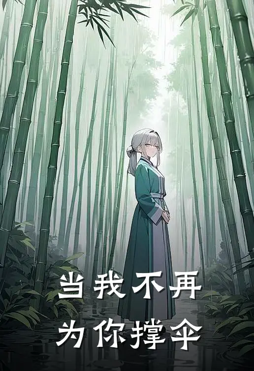 当我不再为你撑伞