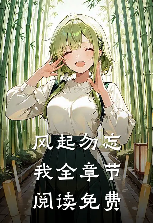 风起勿忘我全章节阅读免费