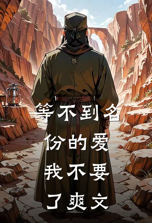 等不到名份的爱，我不要了爽文