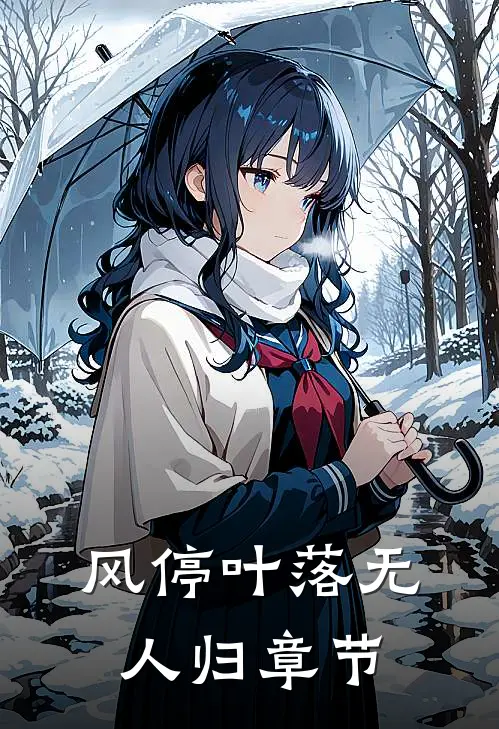 风停叶落无人归章节