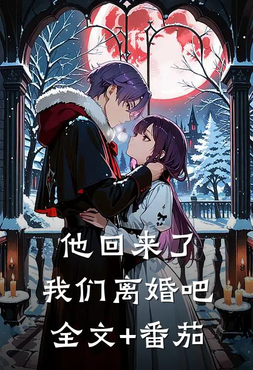 他回来了，我们离婚吧全文+番茄