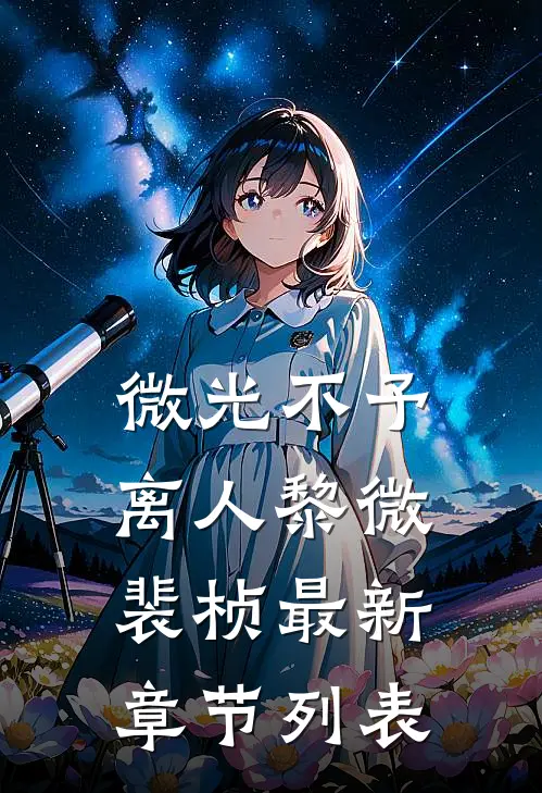 微光不予离人黎微裴桢最新章节列表