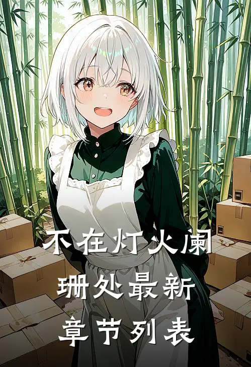 不在灯火阑珊处最新章节列表