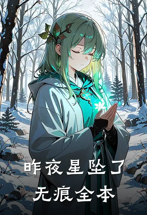 昨夜星坠了无痕全本
