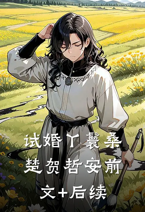 试婚丫鬟桑楚贺哲安前文+后续