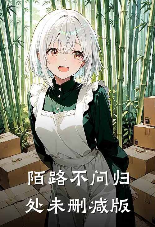 陌路不问归处未删减版