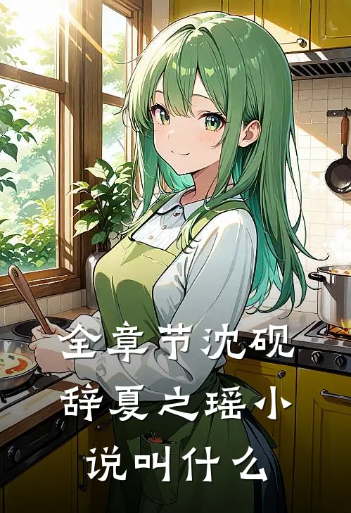 全章节沈砚辞夏之瑶小说叫什么