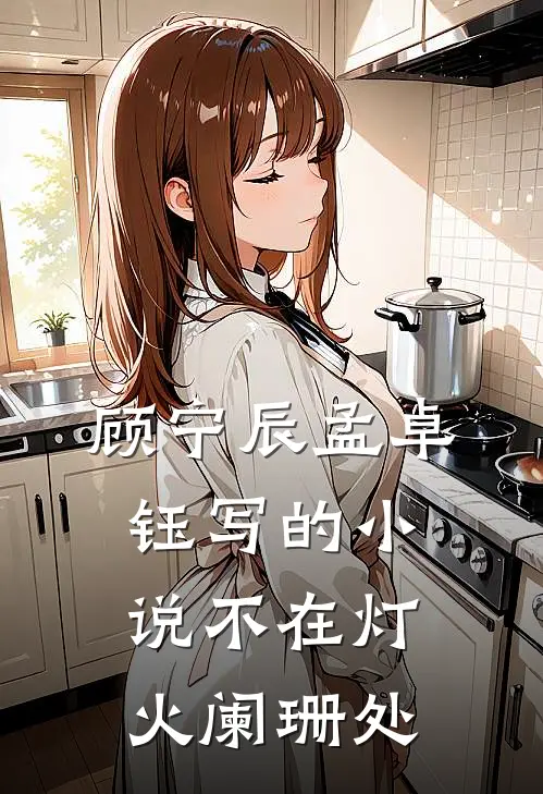 顾宁辰孟卓钰写的小说不在灯火阑珊处