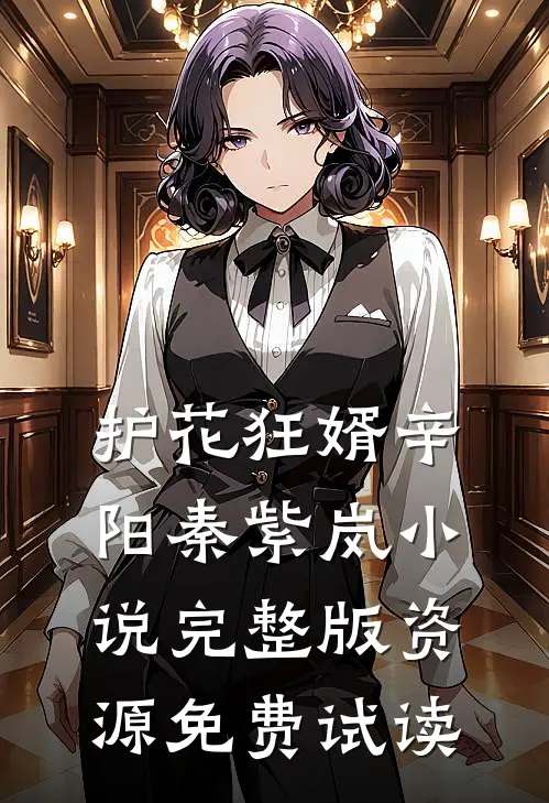 护花狂婿辛阳秦紫岚小说完整版资源免费试读