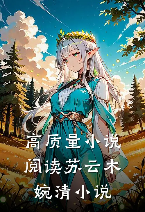 高质量小说阅读苏云木婉清小说