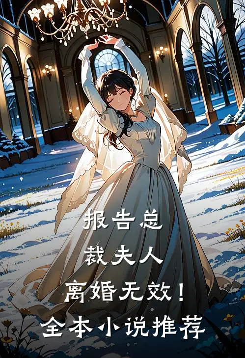 报告总裁夫人，离婚无效！全本小说推荐