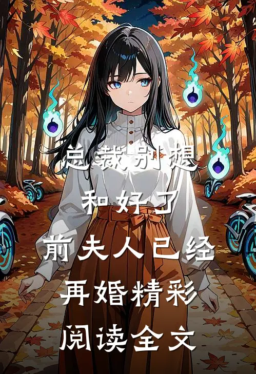 总裁别想和好了，前夫人已经再婚精彩阅读全文