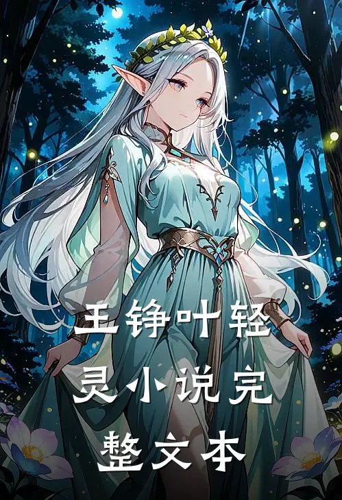 王铮叶轻灵小说完整文本