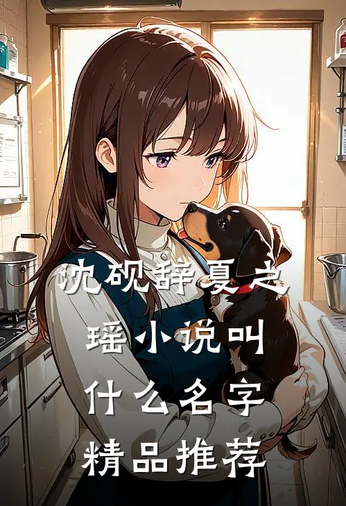 沈砚辞夏之瑶小说叫什么名字精品推荐