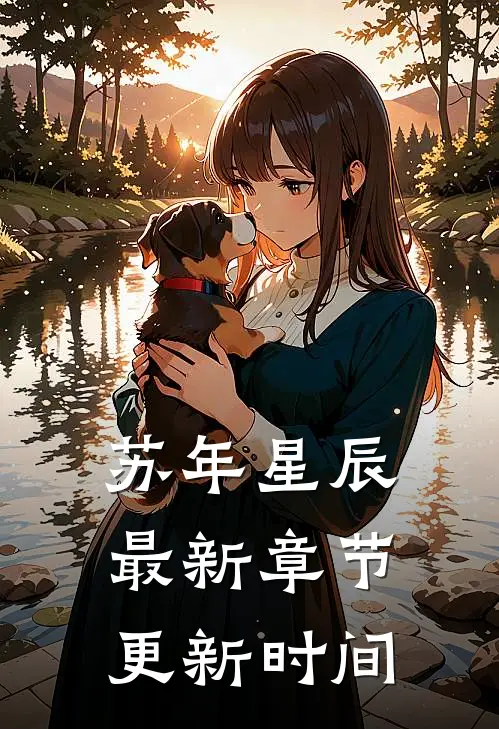 苏年星辰最新章节更新时间