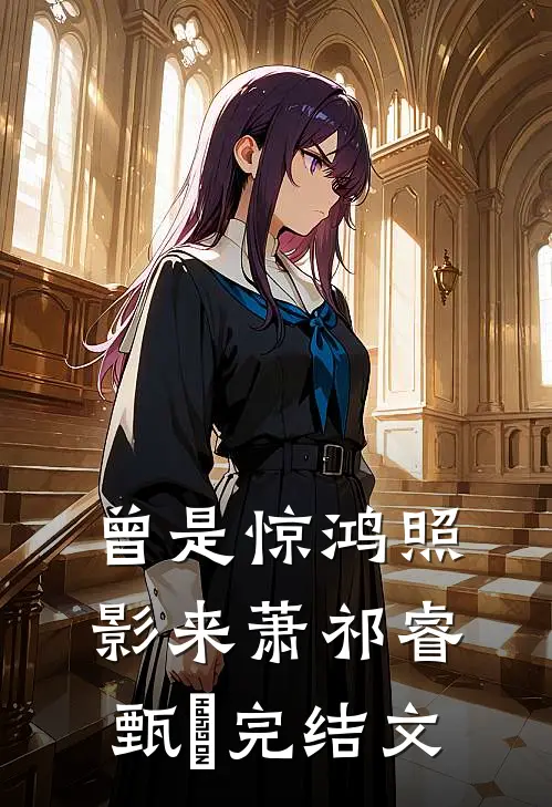 曾是惊鸿照影来萧祁睿甄嬛完结文
