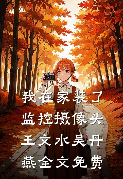 我在家装了监控摄像头王文水吴丹燕全文免费
