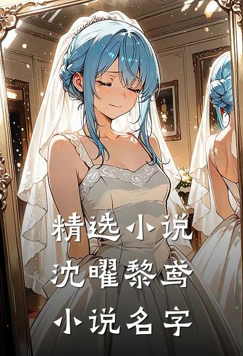 精选小说沈曜黎鸢小说名字