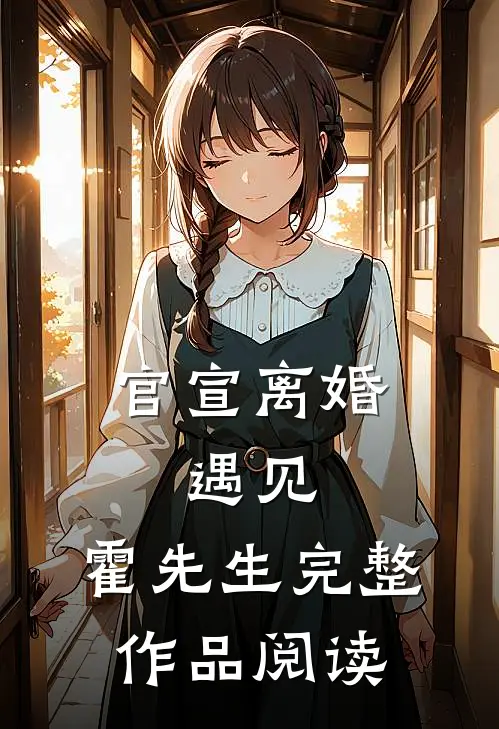 官宣离婚:遇见,霍先生完整作品阅读