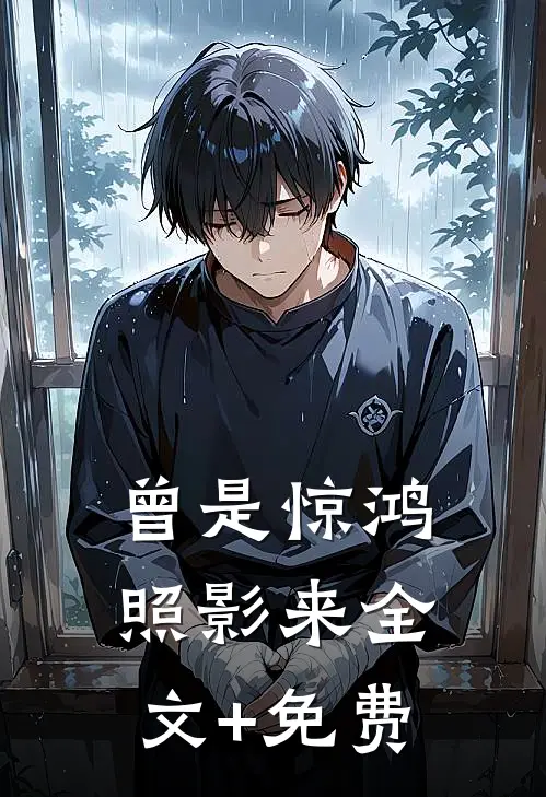 曾是惊鸿照影来全文+免费