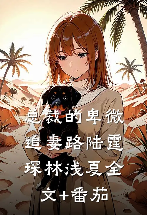 总裁的卑微追妻路陆霆琛林浅夏全文+番茄