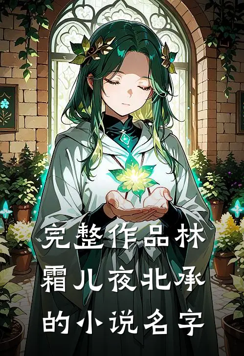 完整作品林霜儿夜北承的小说名字
