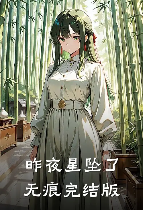 昨夜星坠了无痕完结版