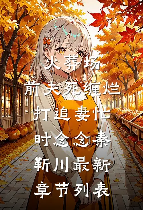 火葬场：前夫死缠烂打追妻忙时念念秦靳川最新章节列表