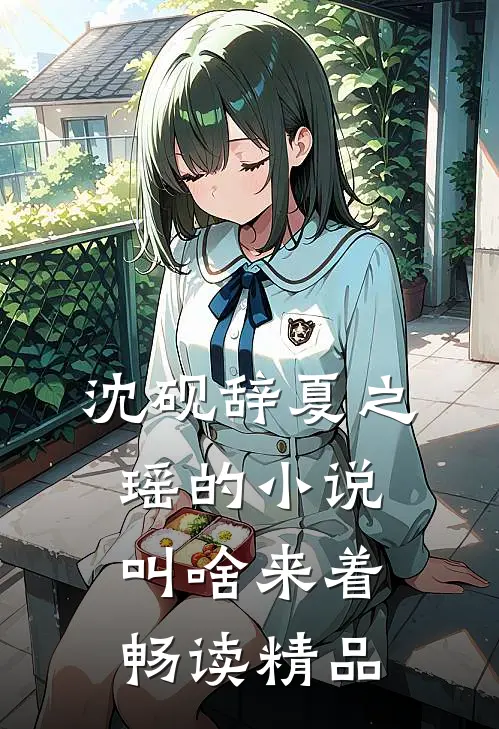 沈砚辞夏之瑶的小说叫啥来着畅读精品