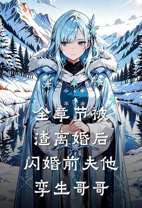 全章节被渣离婚后，闪婚前夫他孪生哥哥