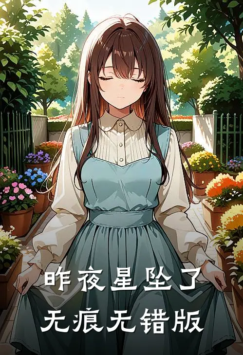 昨夜星坠了无痕无错版