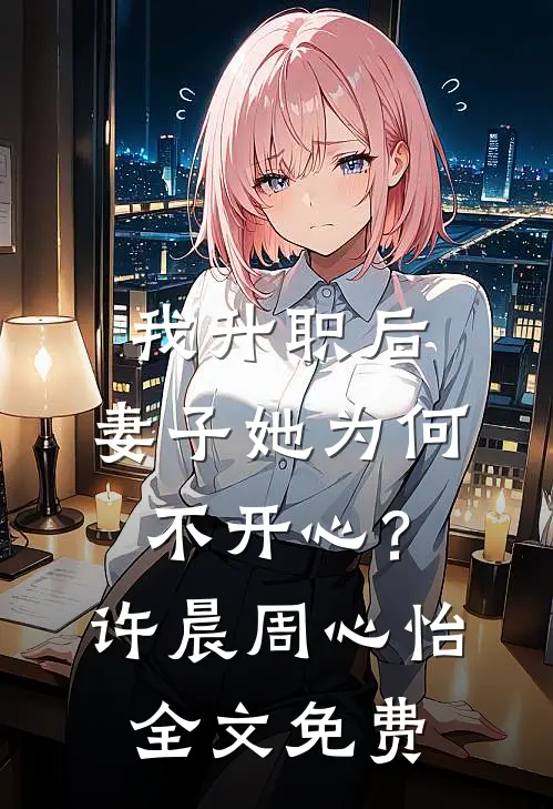 我升职后，妻子她为何不开心？许晨周心怡全文免费