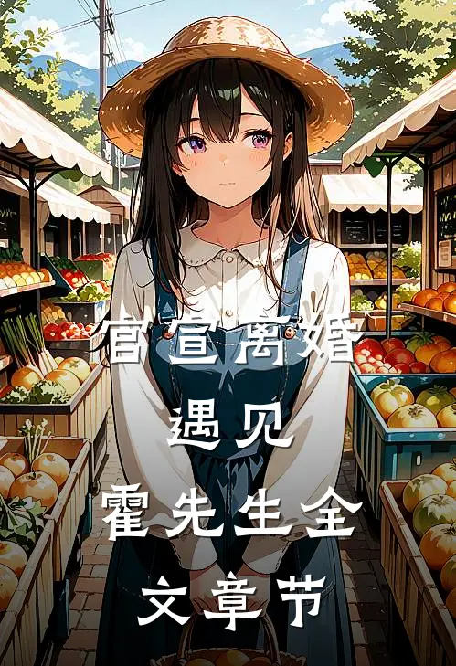 官宣离婚：遇见，霍先生全文章节