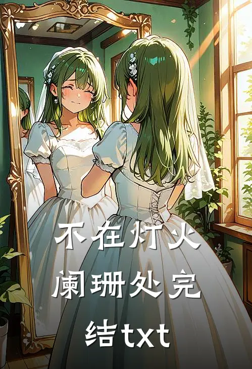 不在灯火阑珊处完结txt