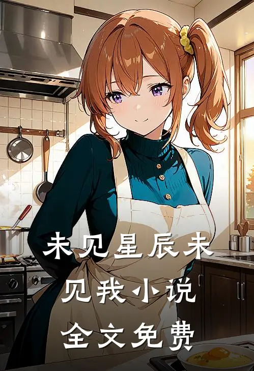 未见星辰未见我小说全文免费