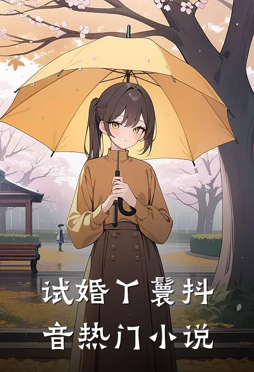 试婚丫鬟抖音热门小说