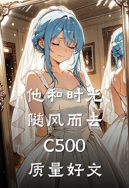 他和时光随风而去C500质量好文