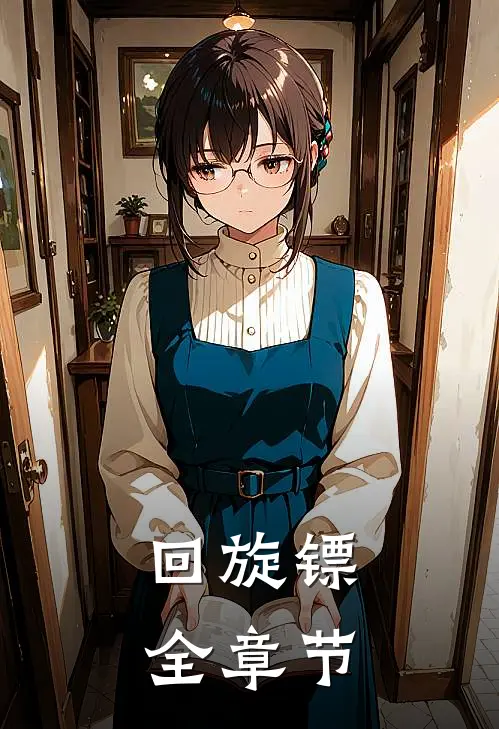 回旋镖全章节