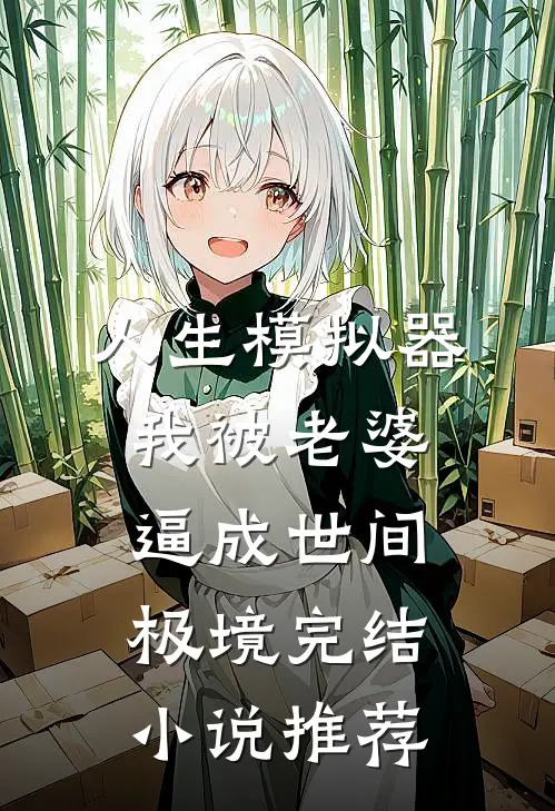 人生模拟器：我被老婆逼成世间极境完结小说推荐