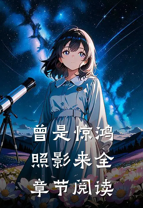 曾是惊鸿照影来全章节阅读