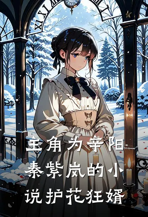 主角为辛阳秦紫岚的小说护花狂婿