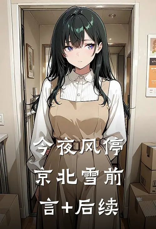 今夜风停京北雪前言+后续