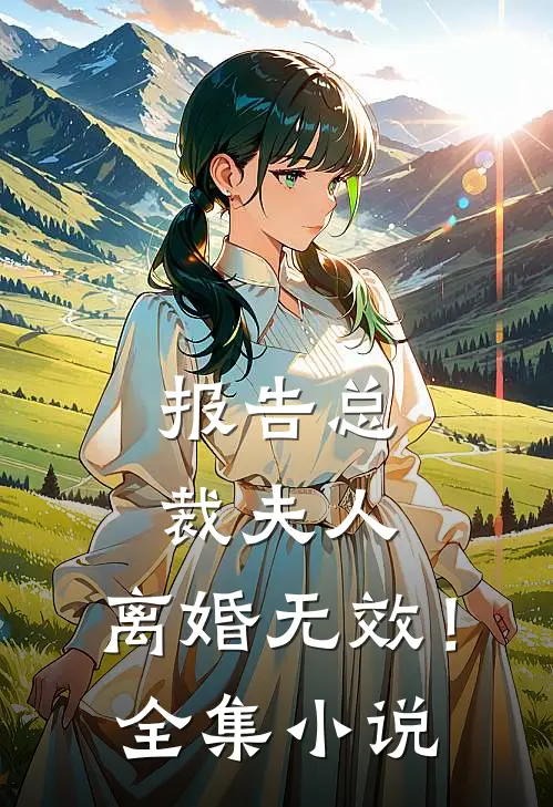 报告总裁夫人，离婚无效！全集小说