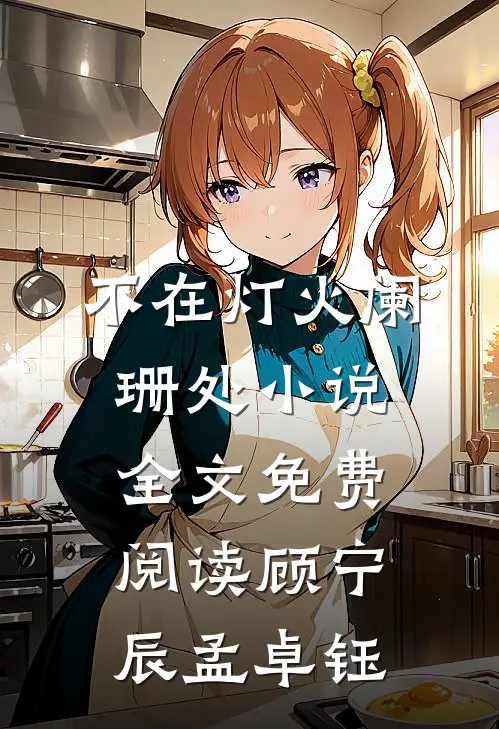 不在灯火阑珊处小说全文免费阅读顾宁辰孟卓钰