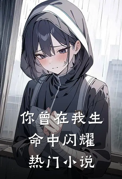你曾在我生命中闪耀热门小说