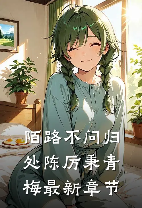 陌路不问归处陈厉秉青梅最新章节