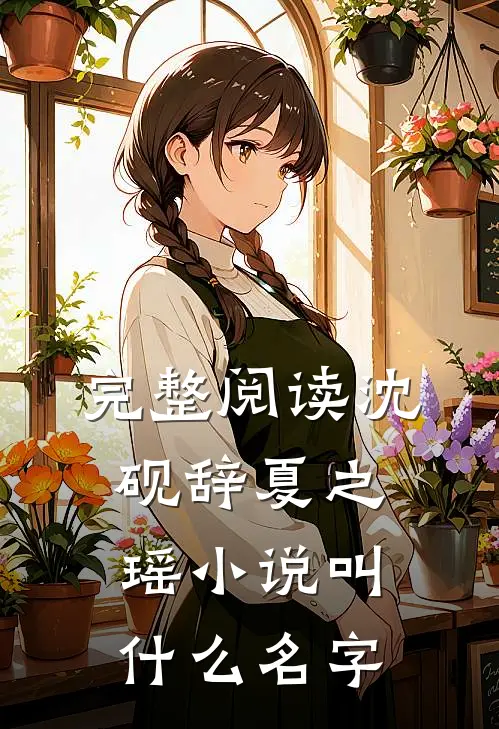 完整阅读沈砚辞夏之瑶小说叫什么名字