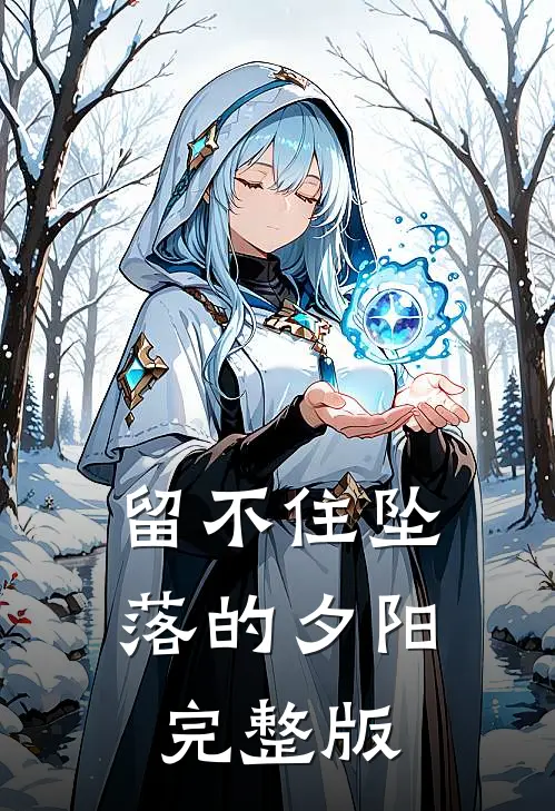 留不住坠落的夕阳完整版