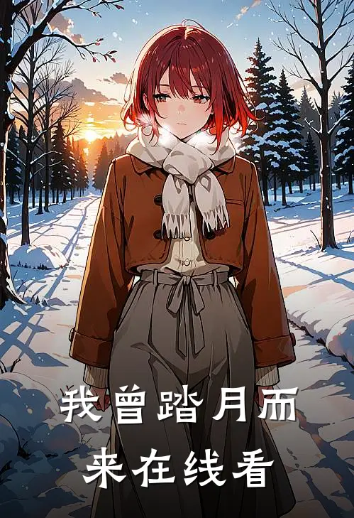 我曾踏月而来在线看